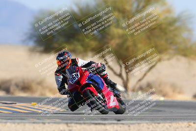 media/Jan-14-2024-SoCal Trackdays (Sun) [[2e55ec21a6]]/Turn 4 Tree of Life (155pm)/